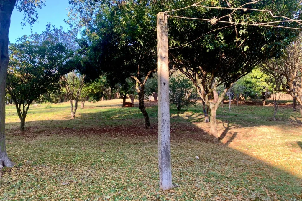 Foto 257