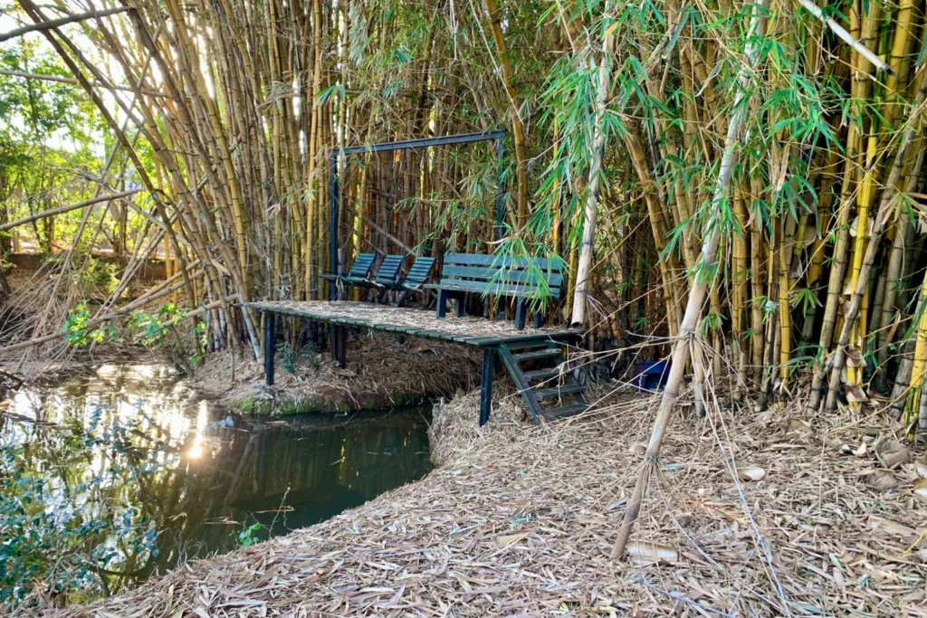 Foto 261